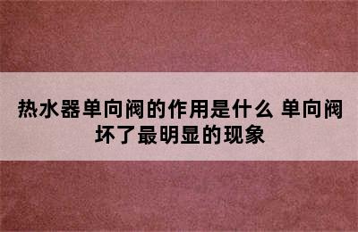 热水器单向阀的作用是什么 单向阀坏了最明显的现象